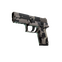 P250 | Black & Tan (Minimal Wear)