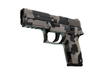 P250 | Black & Tan