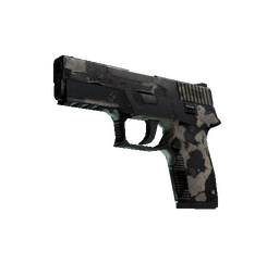 P250 | Black & Tan (Battle-Scarred)