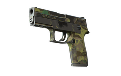 P250 | Boreal Forest