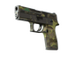 P250 | Boreal Forest (Battle-Scarred)