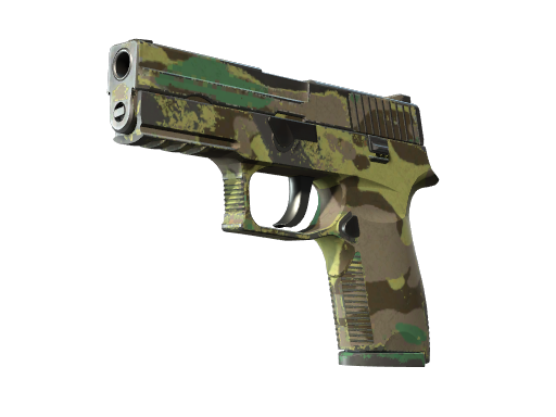 Item P250 | Boreal Forest (Well-Worn)