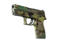 P250 | Boreal Forest (Field-Tested)