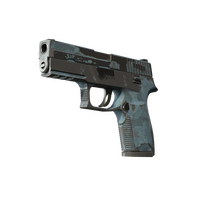 P250 Forest Night