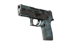 P250 | Forest Night