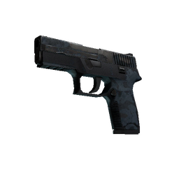 P250 | Forest Night (Battle-Scarred)