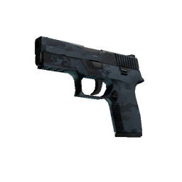 P250 | Forest Night (Well-Worn)