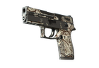 P250 | Gunsmoke