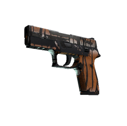 P250 | Bengal Tiger (Battle-Scarred)