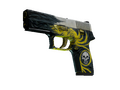 P250 | Wingshot