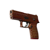 P250 Hive