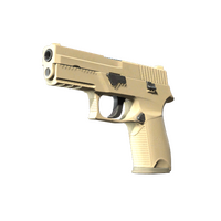 P250 Sand Dune