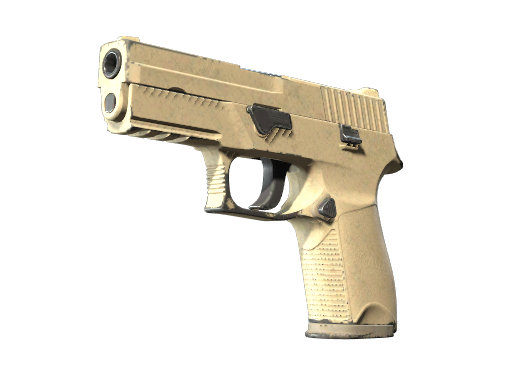 P250 | Sand Dune (Well-Worn)