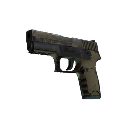 P250 | Sand Dune (Battle-Scarred)