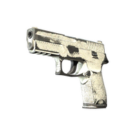 P250 Whiteout