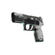 P250 | Whiteout (Battle-Scarred)