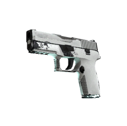 P250 | Whiteout (Well-Worn)