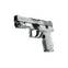 P250 | Whiteout (Field-Tested)