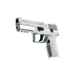 P250 | Whiteout (Factory New)