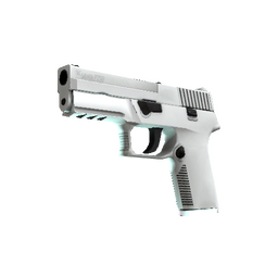 P250 | Whiteout (Minimal Wear)