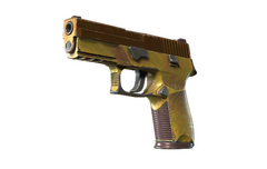 P250 | Sedimentary