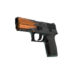 StatTrak™ P250 | Splash (Factory New)