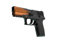 P250 | Splash