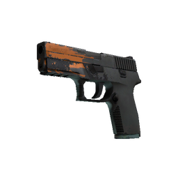 P250 | Splash (Field-Tested)