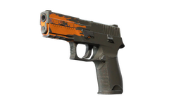 P250 | Splash