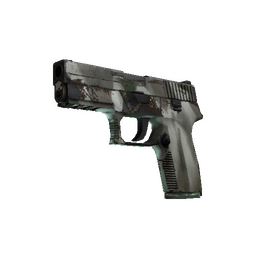 P250 | Bone Mask (Well-Worn)