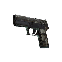 P250 | Bone Mask (Battle-Scarred)