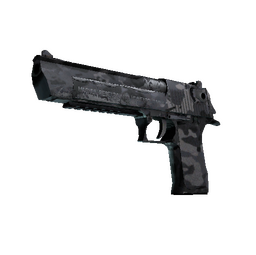 Souvenir Desert Eagle | Urban Rubble (Well-Worn)