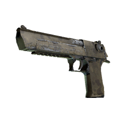 Desert Eagle | Mudder (Well-Worn)