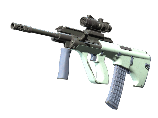 Souvenir AUG | Storm (Well-Worn)