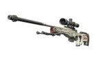 AWP | LongDog