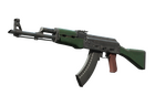 AK-47 | First Class