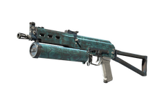 PP-Bizon | Cold Cell