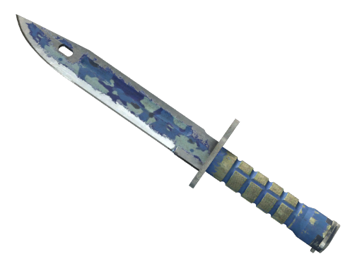 ★ Bayonet | Bright Water (Battle-Scarred)