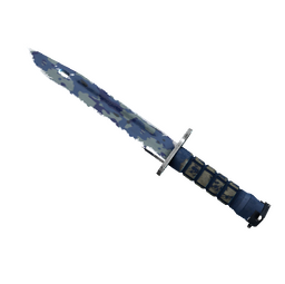 ★ Bayonet | Bright Water (Well-Worn)