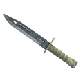 Bayonet | Stained image 120x120