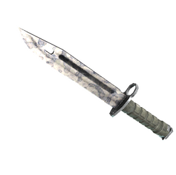 ★ StatTrak™ Bayonet | Stained (Field-Tested)