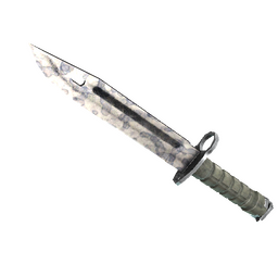 ★ Bayonet | Stained (Well-Worn)