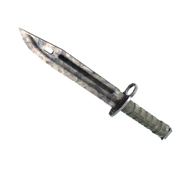★ Bayonet | Stained (Battle-Scarred)