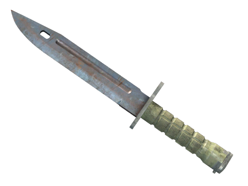 ★ Bayonet | Pas Kaplı