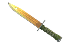 ★ Bayonet | Lore