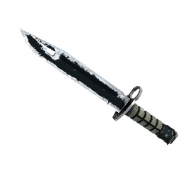 ★ Bayonet | Night (Battle-Scarred)