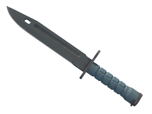 Bayonet ★ | Night