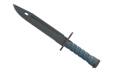 ★ Bayonet | Night