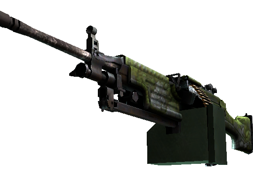 StatTrak™ Well-Worn