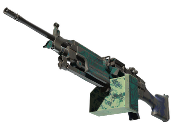 M249 | Приморский прогноз